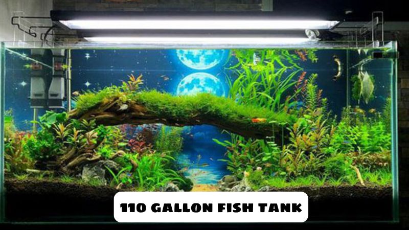 110 gallon fish tank