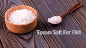 Epsom Salt For Fish: Benefits And Uses