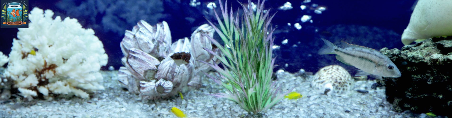 fishtankfables.com