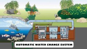 Popular Types Of Automatic Water Change Systems