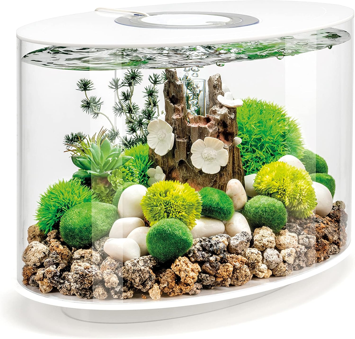 fishtankfables.com