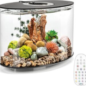 biOrb Loop 15 Acrylic 4-Gallon Aquarium with Remote-Controlled Multi-Color LED Lights